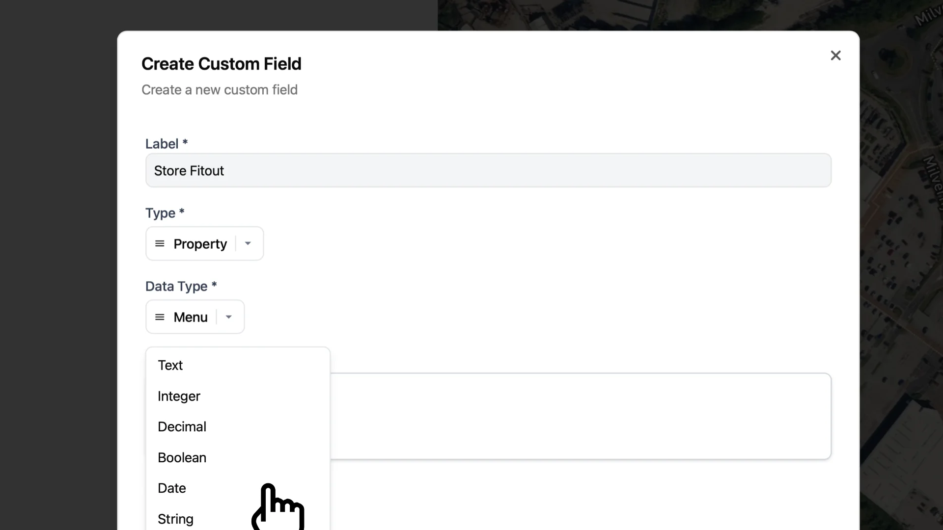 Screenshot of custom fields